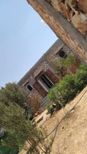 à louer.Une jolie la maison