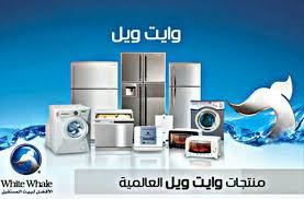 وايت-ويل-1-1